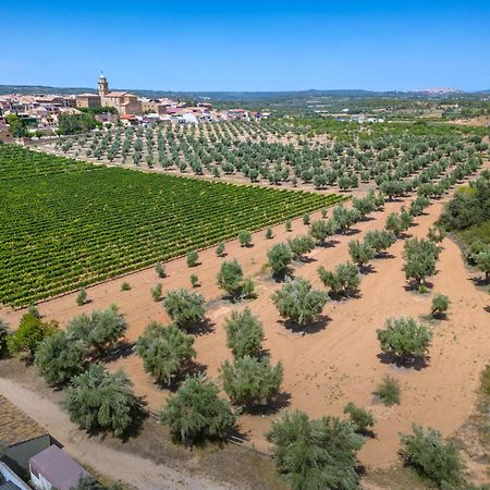 Hotel & Resort Vilar Rural D'Arnes By Serhs Hotels Sant Carlos de la Ràpita Dış mekan fotoğraf