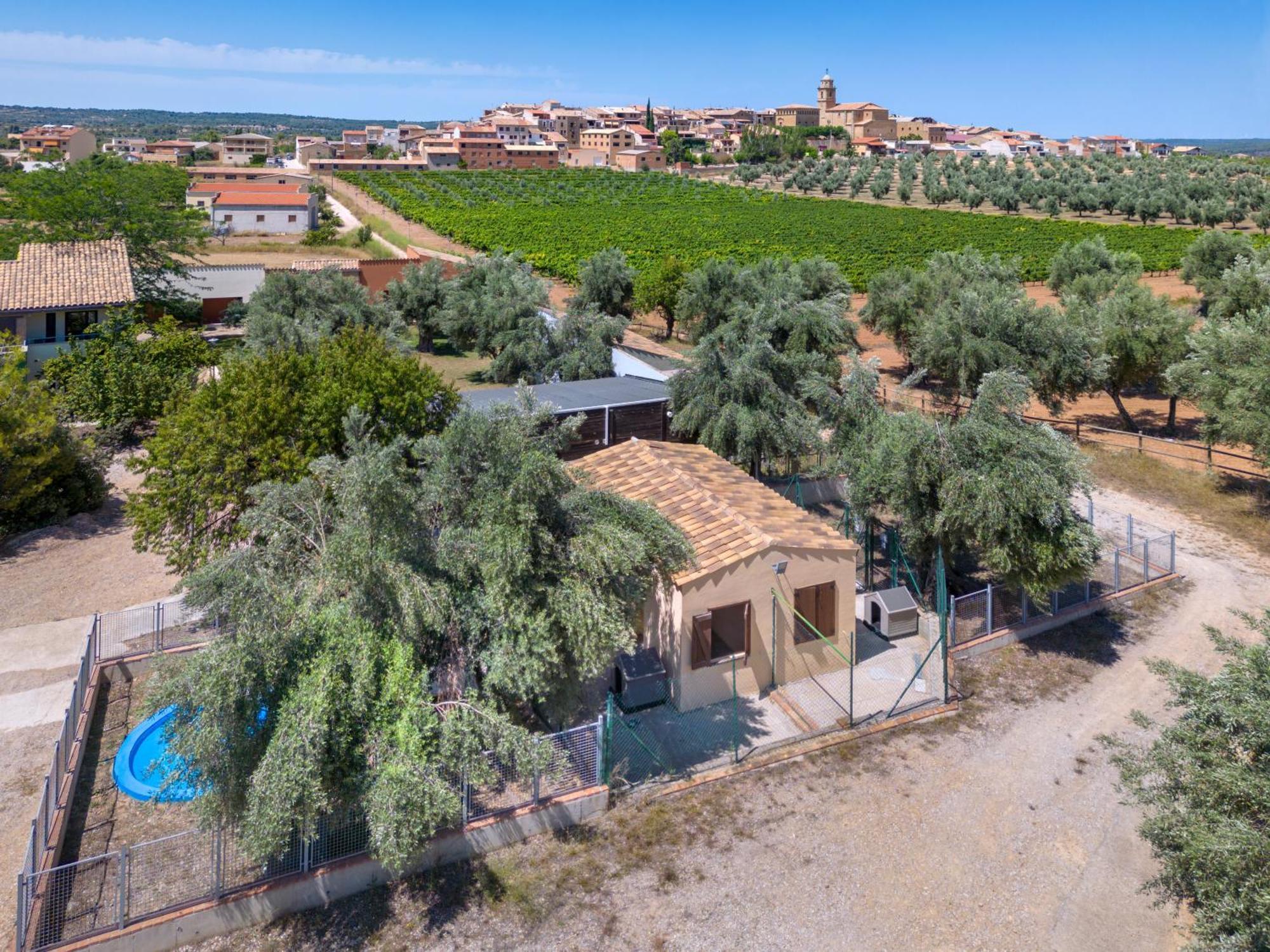 Hotel & Resort Vilar Rural D'Arnes By Serhs Hotels Sant Carlos de la Ràpita Dış mekan fotoğraf