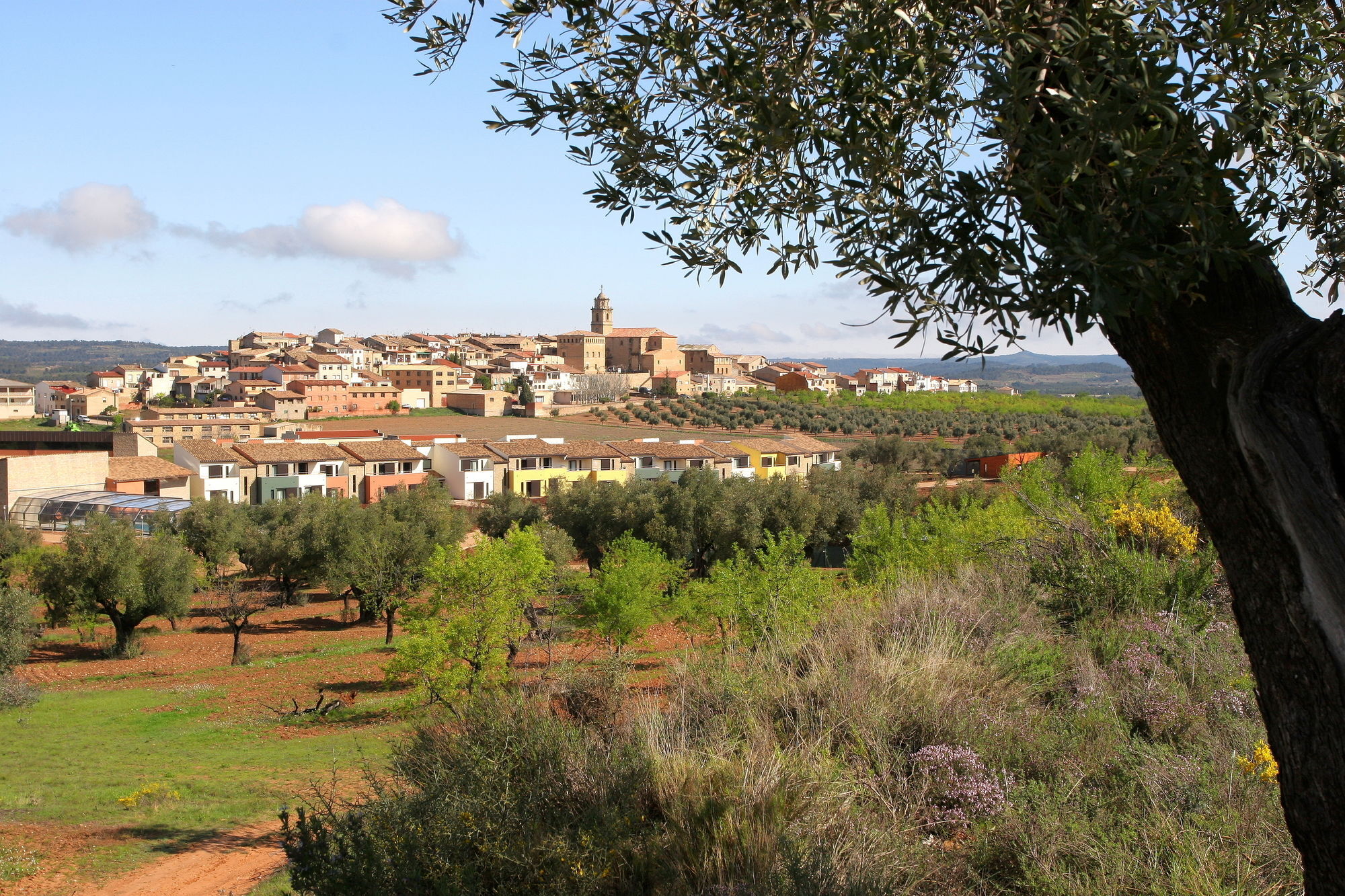 Hotel & Resort Vilar Rural D'Arnes By Serhs Hotels Sant Carlos de la Ràpita Dış mekan fotoğraf
